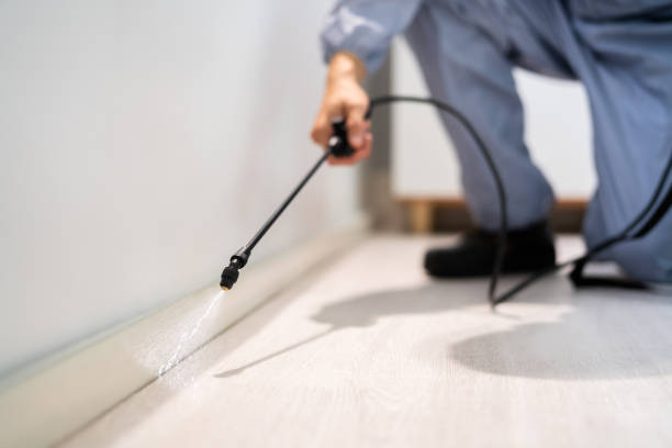 Flea Control Services in Geneva, AL