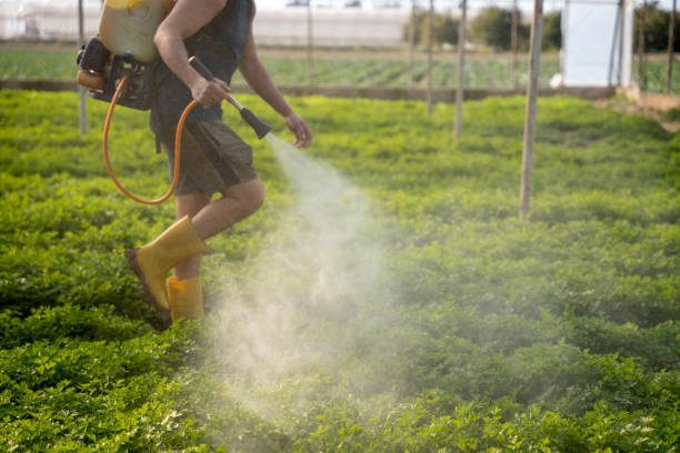 Best Ant Control Services  in Geneva, AL
