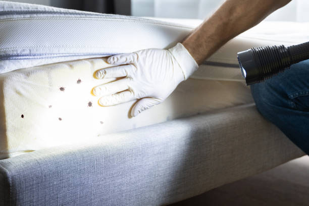 Best Exterminator Services  in Geneva, AL