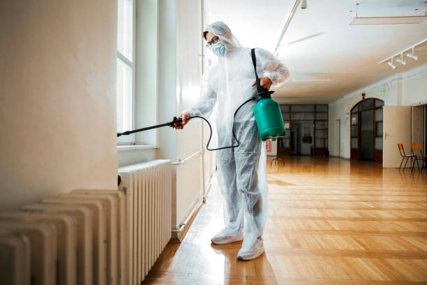 Best Flea Control Services  in Geneva, AL
