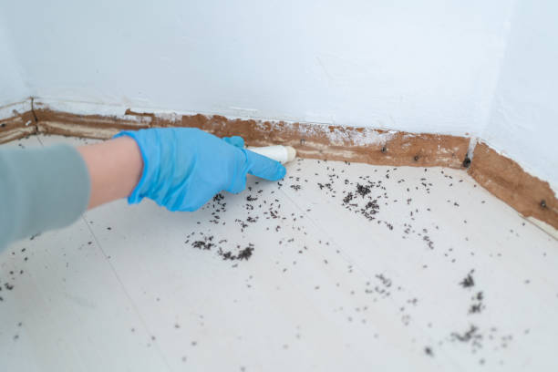 Best Commercial Pest Control Services  in Geneva, AL